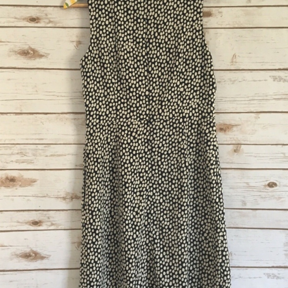 Ann Taylor Loft Black and White Polka Dot Dress